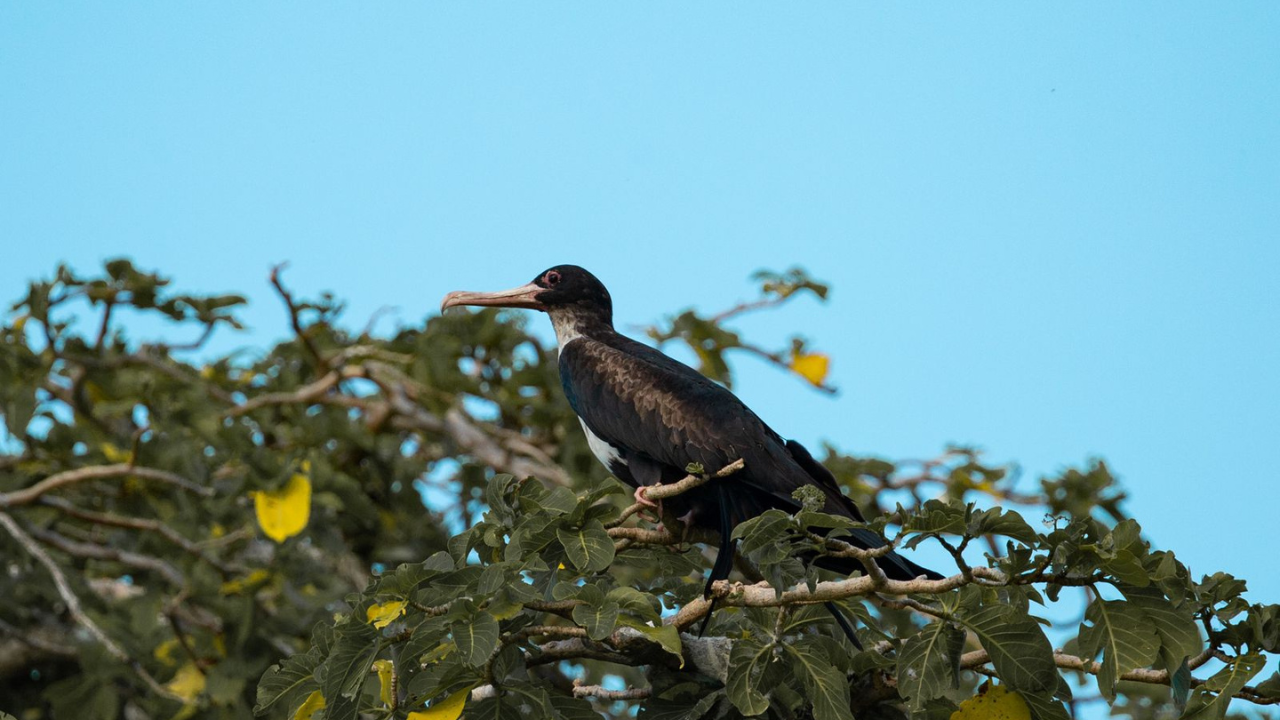 Photo & Video Gallery